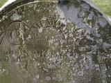 image of grave number 950093